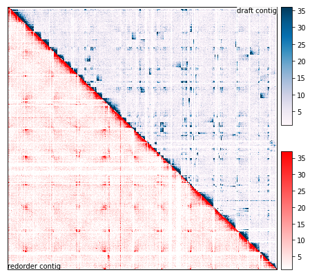 ../_images/gallery_genome_denovo_scaffolding_10_1.png