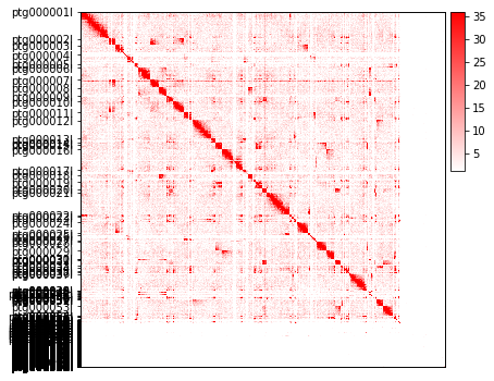 ../_images/gallery_scaffold_contig_reorder_4_1.png