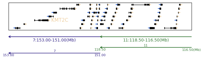 ../_images/track_types_gene_4_0.png