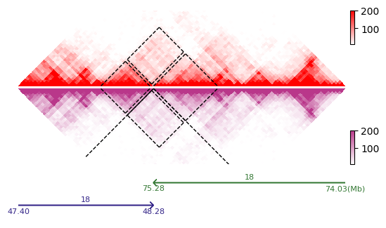 ../_images/track_types_mapc_markline_3_1.png
